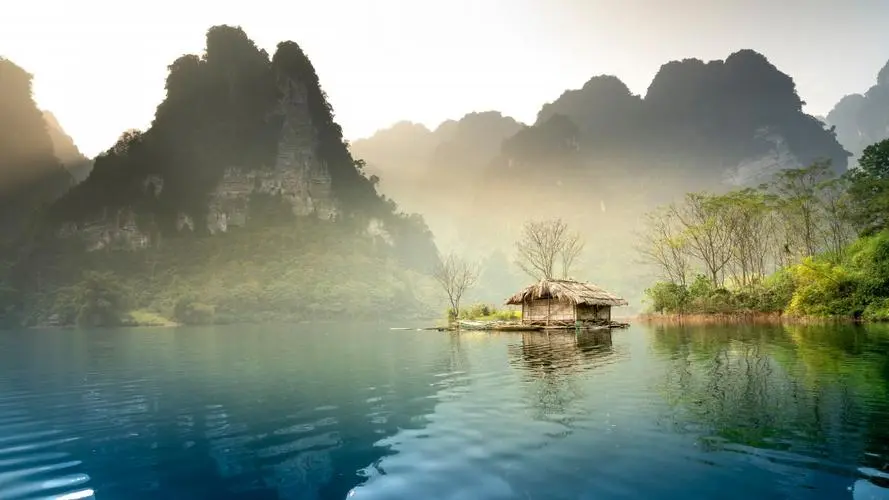 绿色全自动